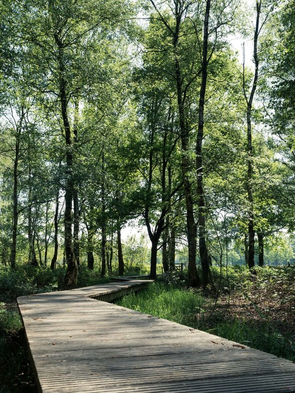 Maldegemveld in Maldegem