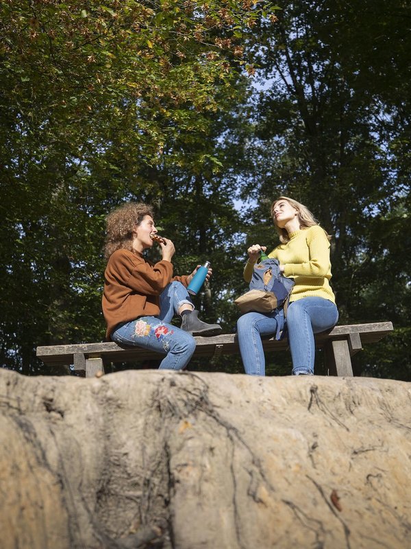 Buggenhoutbos wandelen bos Scheldeland zitbank