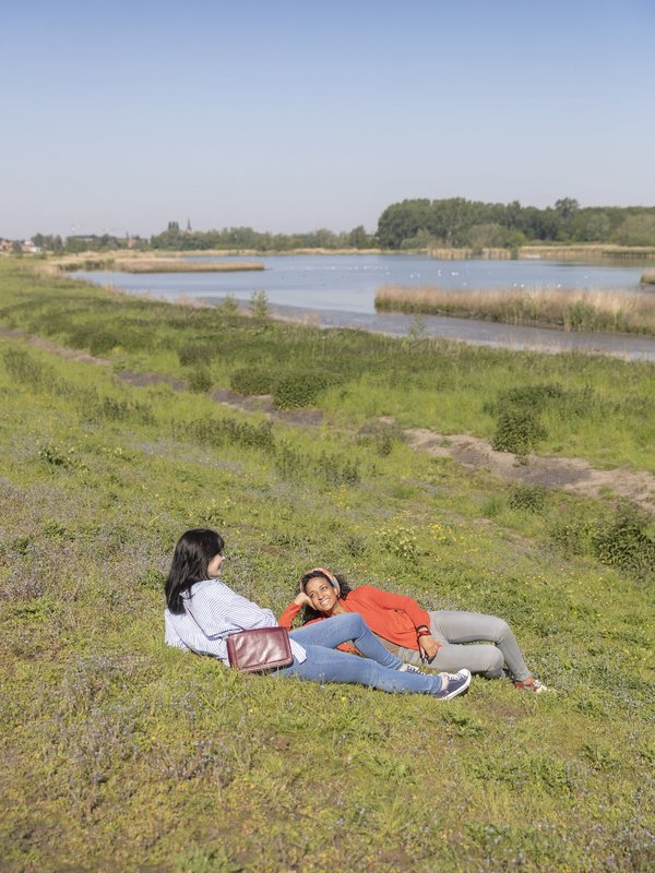 Berlare Paardebroek Schelde