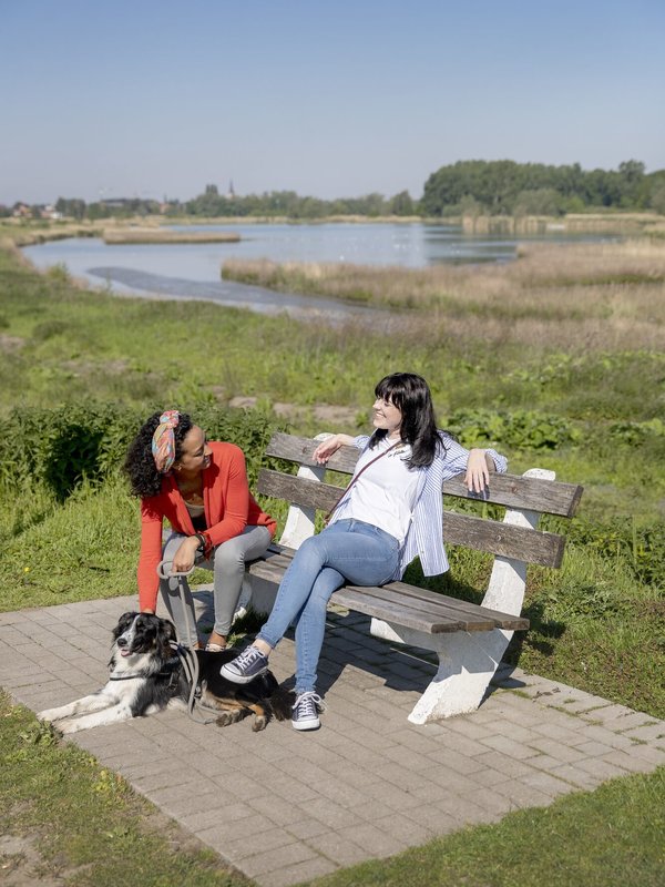 Berlare Paardebroek Schelde hond
