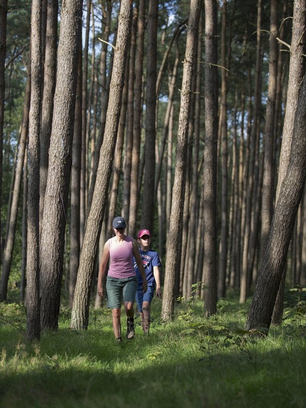 2 wandelaars in het Heidebos